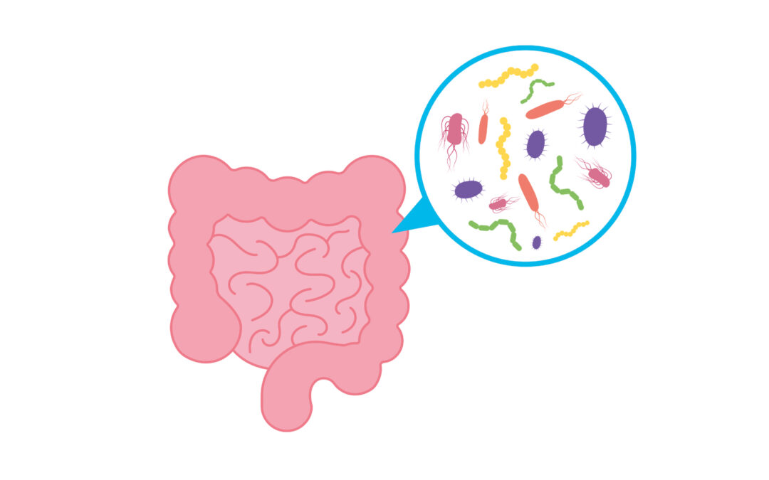 Avancée dans la connaissance du microbiome cutané