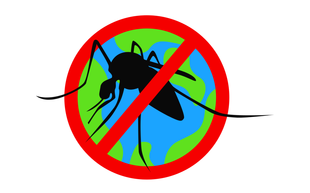 Chikungunya : l’urgence d’agir pour éviter des épidémies