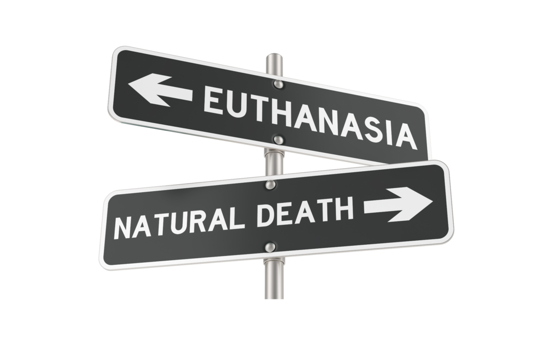 Euthanasie: le Comité bioéthique propose un dispositif de « déclaration anticipée élargie »