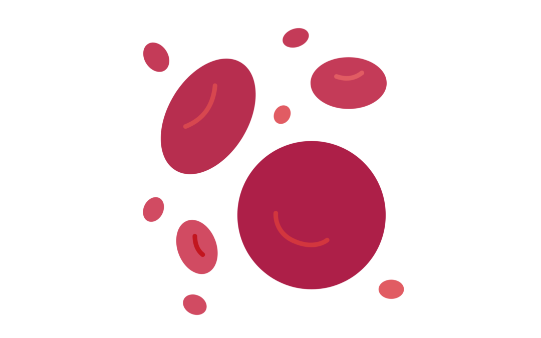 400.000 belges sous anticoagulants oraux : l’enjeu crucial de l’observance