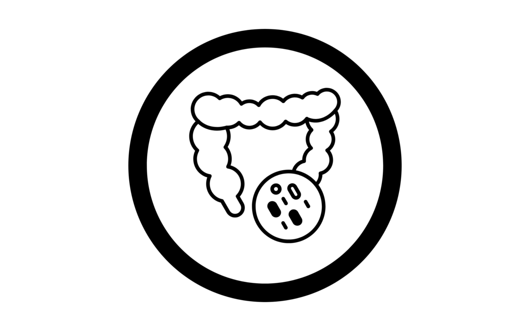 Découverte majeure au cœur du microbiote intestinal