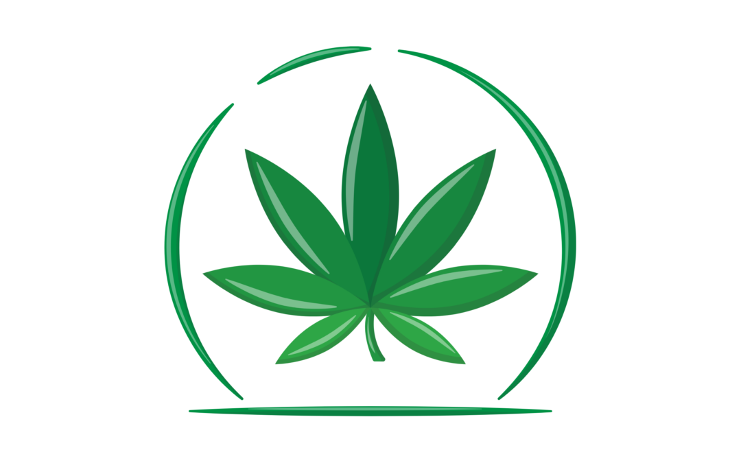 Cannabidiol  : les autorités sanitaires européennes fixent une dose provisoire de sécurité