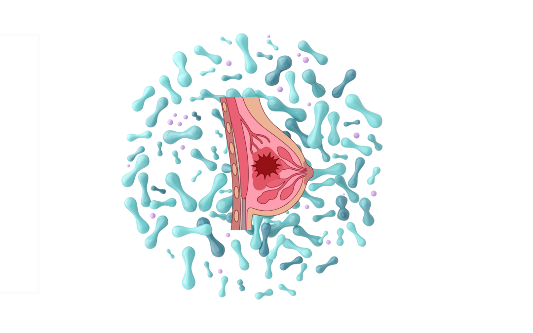 Cancer du sein : le microbiote pourrait-il influencer la réponse aux traitements ?